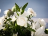 malta-wedding-ceremony-flowers-23