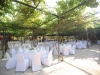 weddings-in-malta-olive-groves-10