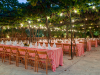 weddings-in-malta-olive-groves-11