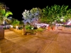 weddings-in-malta-olive-groves-14