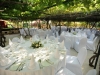 weddings-in-malta-olive-groves-15