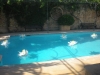 weddings-in-malta-olive-groves-2
