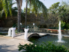weddings-in-malta-olive-groves-3
