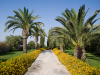 weddings-in-malta-olive-groves-5