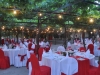 weddings-in-malta-olive-groves-6