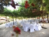 weddings-in-malta-olive-groves-9