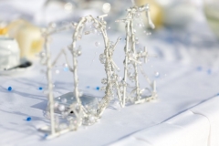 Wedding Decor (18)