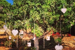 Wedding Decor (26)