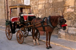 Weddings in Malta Horse & Carriage