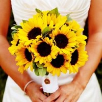 Malta wedding sunflowers
